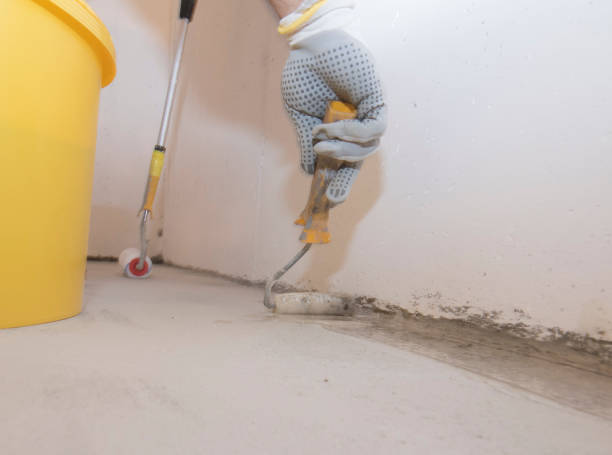 Best Termite Inspection and Treatment  in Carter, TX